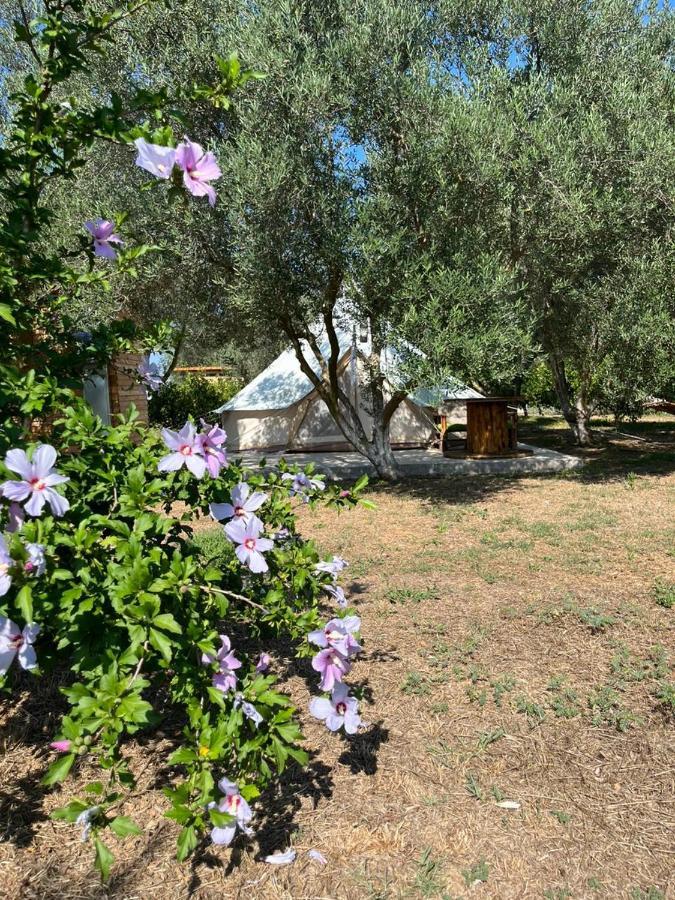 Eco Glamping With Pool Between Nafplio And 아르고스 외부 사진