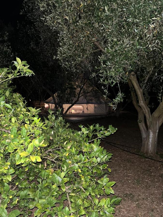 Eco Glamping With Pool Between Nafplio And 아르고스 외부 사진