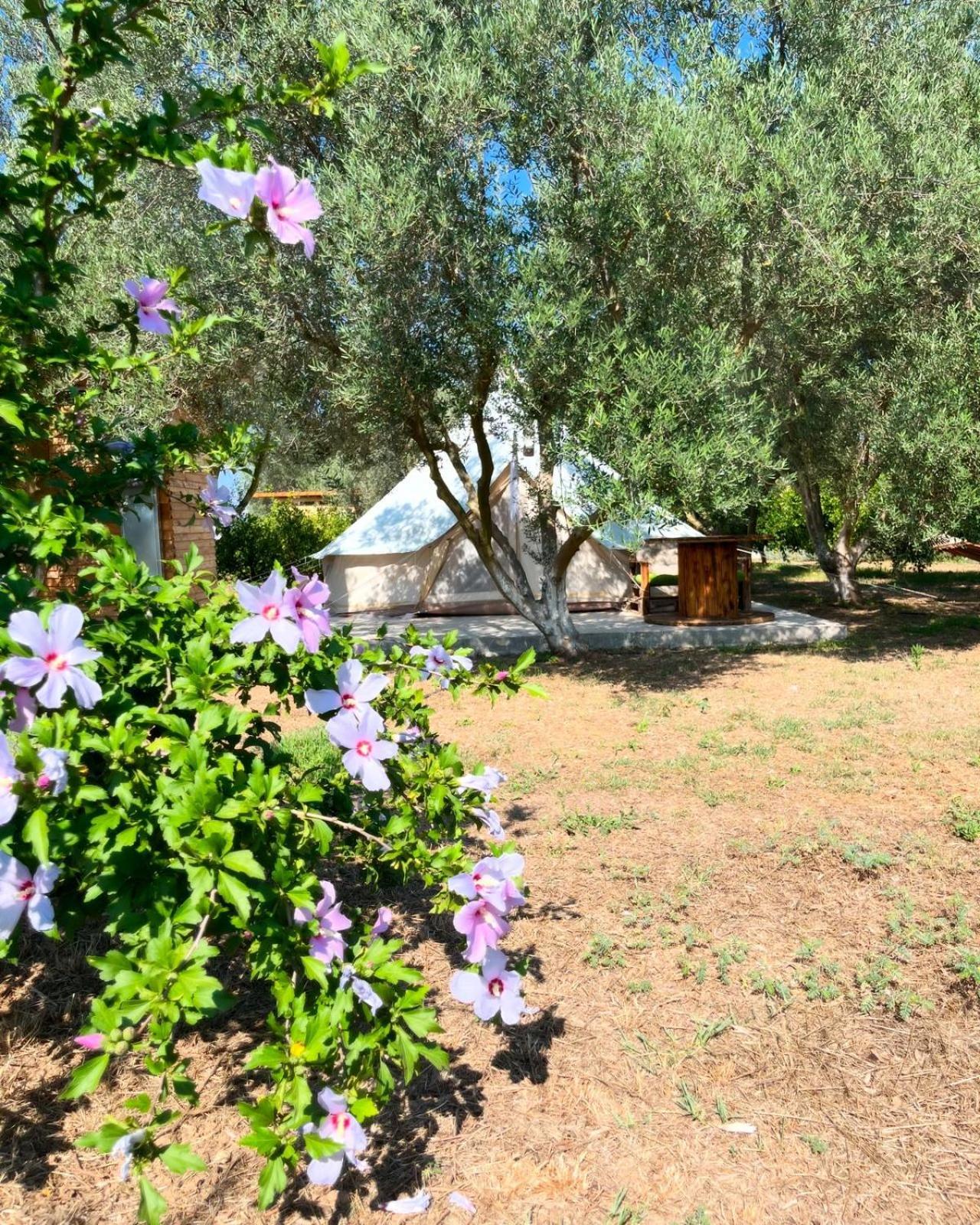 Eco Glamping With Pool Between Nafplio And 아르고스 외부 사진